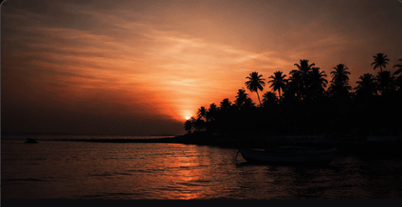 Sunset silhouette photograph with palm trees and boats